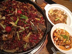 -老板恋上鱼(印象城店)