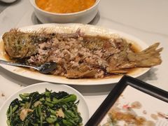 -老山东·山东菜(鲁菜名店)