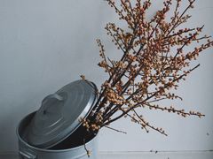 -Eu2+ coffee(上大路店)