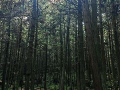 -大罗山风景区