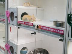-lincat·猫舍(广州店)