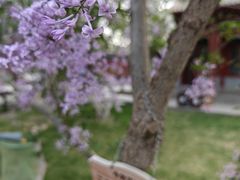 -张掖大佛寺景区