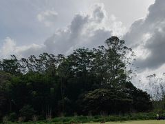 -黄埔油麻山森林公园