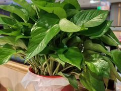 -海底捞火锅(万科广场店)