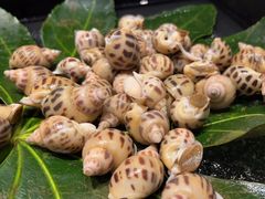 -火舞泰·泰式海鲜火锅餐厅(世纪城店)