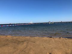 -碧海金沙