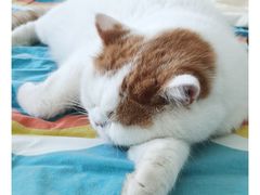 -上海交通大学(闵行校区)