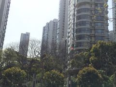 -新湖明珠城