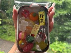 -富士山吉田線五合目