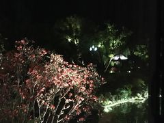 -杭州西湖柳莺里酒店