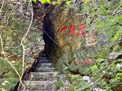 -天女山森林公园