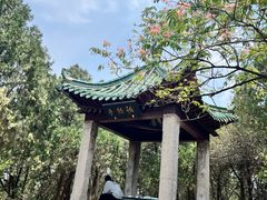 -云龙山