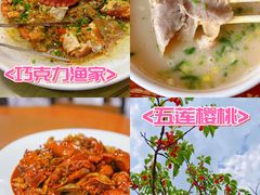 -日照海滨国家森林公园