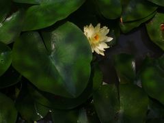 -汇龙潭
