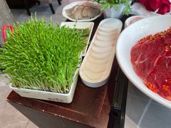 -洞子口重庆鲜货火锅(楚翘城旗舰店)