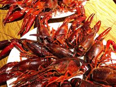 清蒸小龙虾-汪爹爹武汉牛三鲜(朝外大街店)