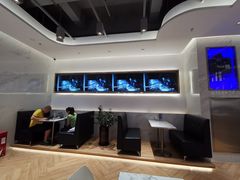 -813芭依珊 BAESAn(汇港购物中心店)