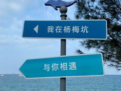-杨梅坑