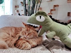 -藏猫猫咖啡主题馆(中央大道店)