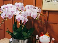 -LANN I 蘭·泰式古法按摩(高岛屋百货店)