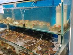 -仙螺岛海鲜自助餐厅(总店)