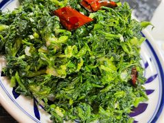 凉拌野菜-后卫寨猫耳朵(后卫寨店)