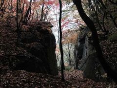 -五女山景区