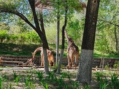 -北京野生动物园