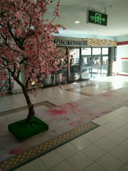 -PE SALON