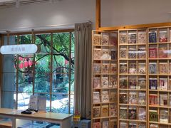 -猫的天空之城概念书店(束河店)