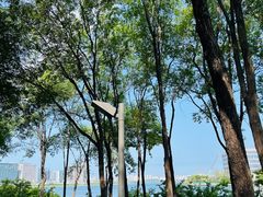 -北龙湖湿地公园