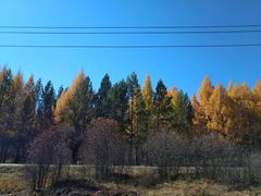 -塞罕坝国家级自然保护区