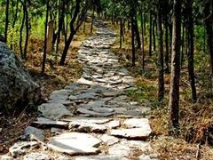 -阳台山自然风景区