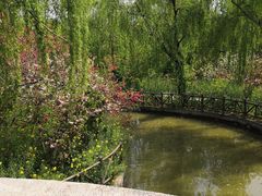 -南汇桃花村