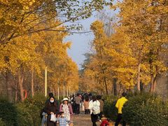 -白鹭湾湿地公园