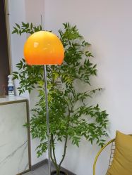 -变美丽半永久纹眉连锁·机器野生眉·洗眉