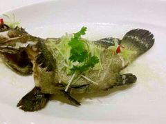 android_upload_pic-世博源公馆·本帮融合菜·主题包厢·江景餐厅