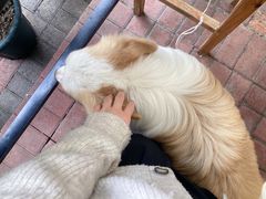 -豆舞咖啡(民乐路店)