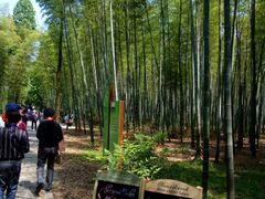 -同里国家湿地公园