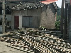 -宁波浙东大竹海景区