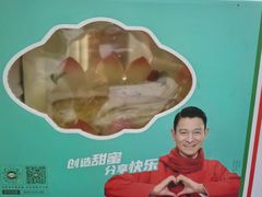 -维尔纳斯·生日蛋糕动物奶油冰淇淋蛋糕(人大店)