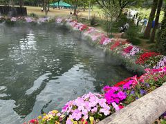 -苏州上方山国家森林公园