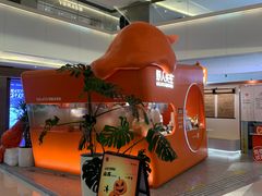 -野人先生现做冰淇淋(北京王府井东方新天地店)