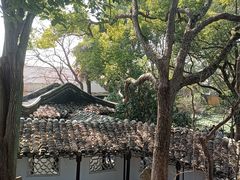-西园戒幢律寺