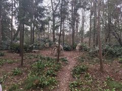 -狼山风景名胜区