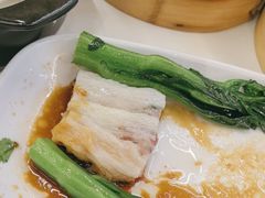 -陶缘一号·四季缘·老字号顺德菜·户外婚礼家宴(西滘店)