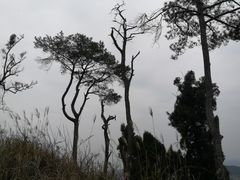 -金堂县云顶石城风景区