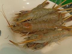 -德顺斋爆肚涮肉馆·烧烤·羊蝎子·清真炒菜(马驹桥店)