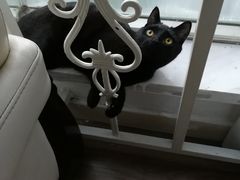 -汉密哈顿(解放路1段店)