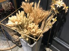 -植物学家的女儿(北马道巷店)